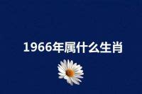 1966 属什么